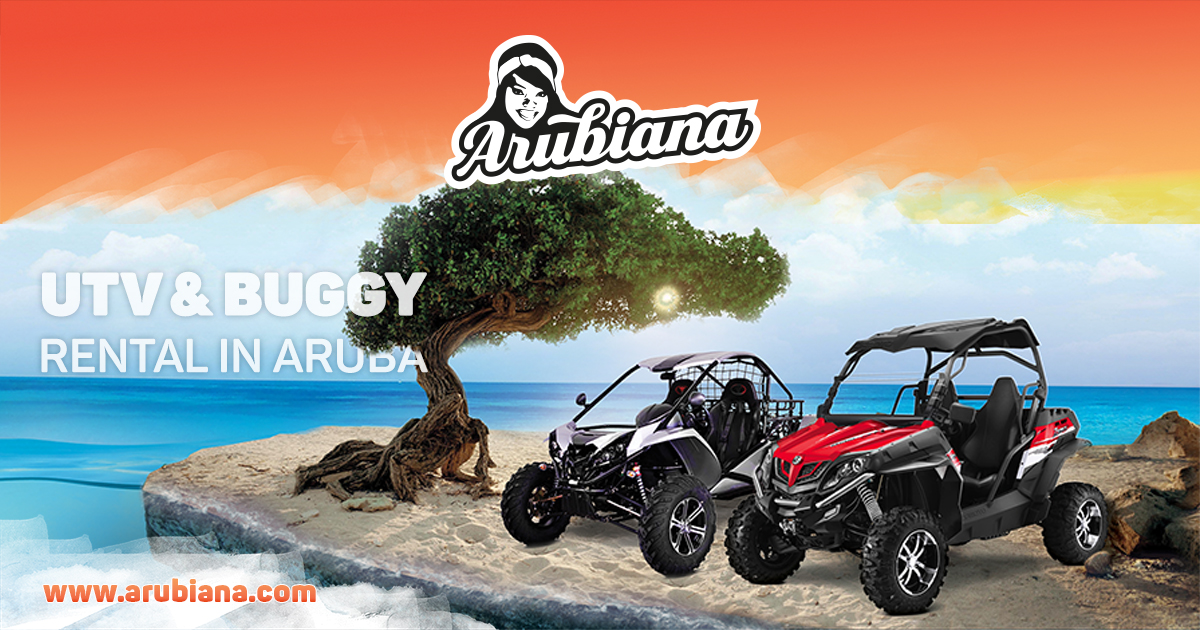 ATV, Sand Buggy \u0026 Fun Toys Rental in 